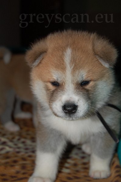 27 to je foťák - juknu se.jpg